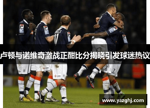 卢顿与诺维奇激战正酣比分揭晓引发球迷热议