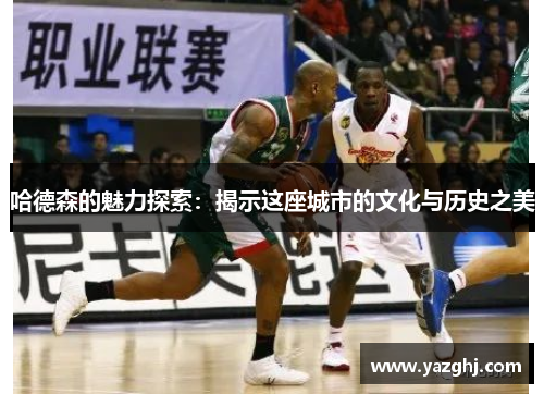 哈德森的魅力探索：揭示这座城市的文化与历史之美