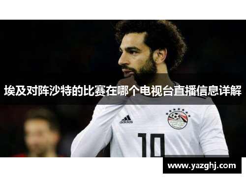 埃及对阵沙特的比赛在哪个电视台直播信息详解