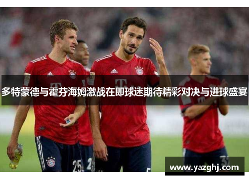 多特蒙德与霍芬海姆激战在即球迷期待精彩对决与进球盛宴