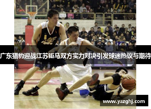 广东猎豹迎战江苏钜马双方实力对决引发球迷热议与期待